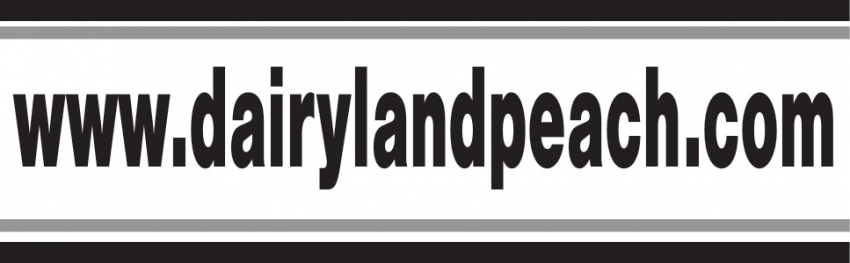 Dairyland Peach