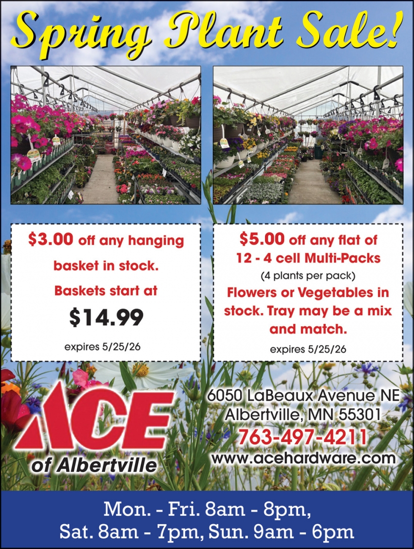 Ace of Albertville