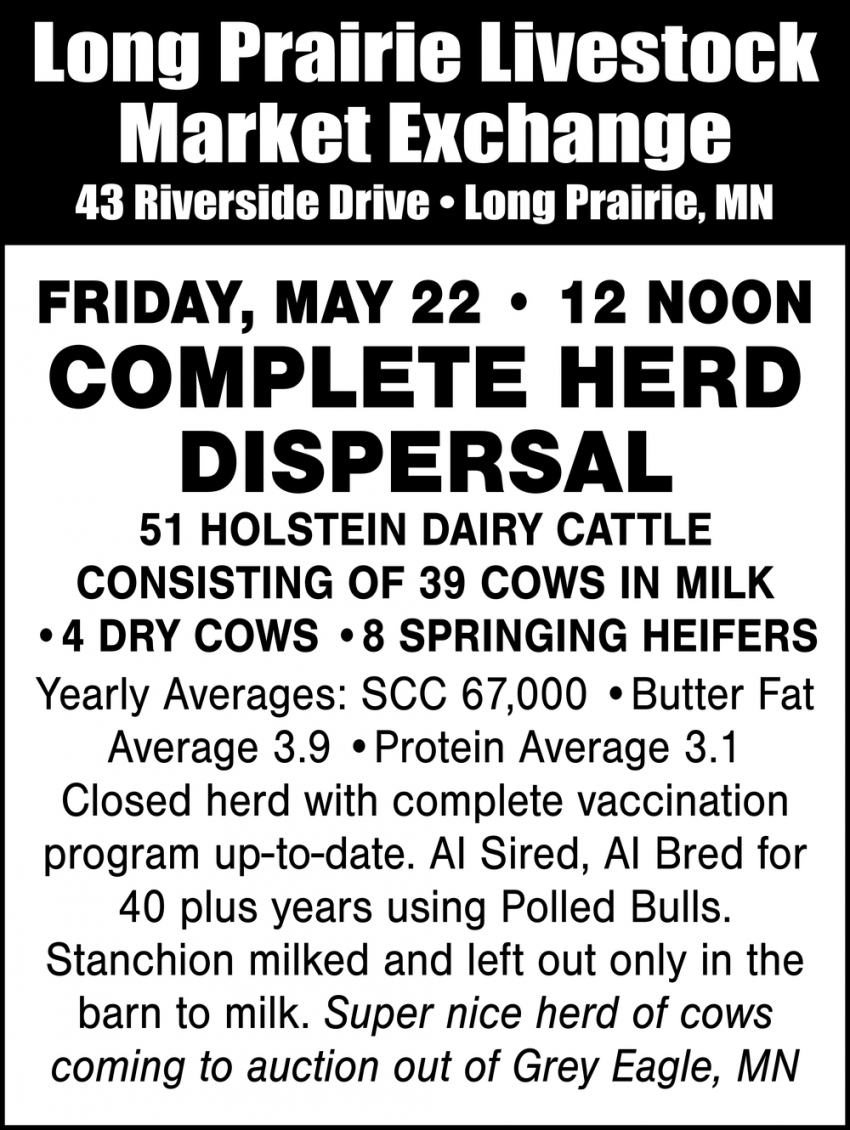 Long Prairie Livestock Auction Market Exchange