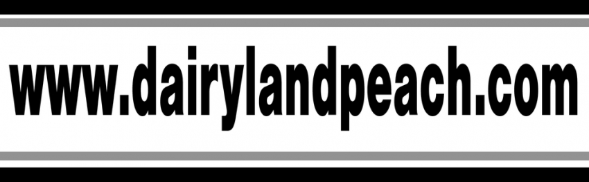 Dairyland Peach