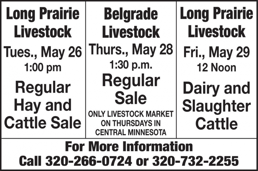 Long Prairie Livestock - Belgrade Livestock