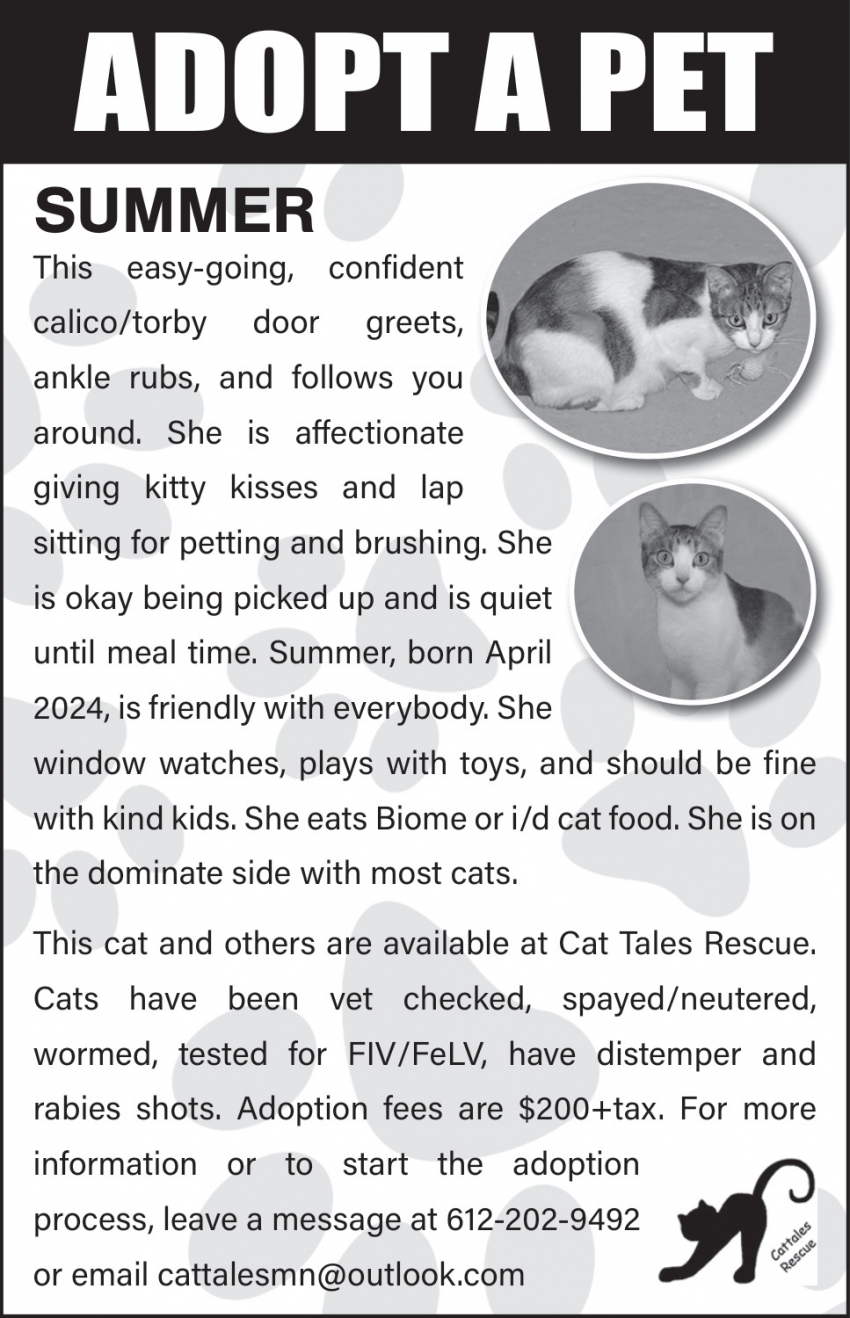 Cat Tales Rescue