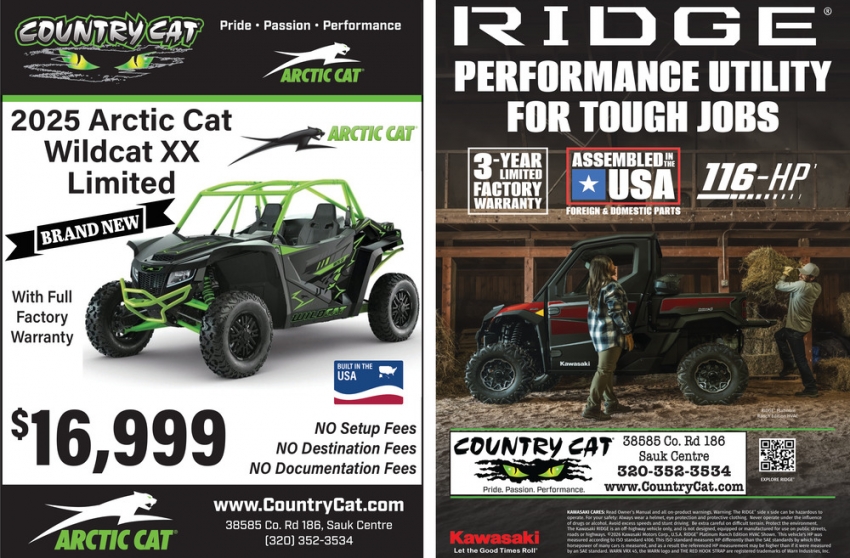 Country Cat