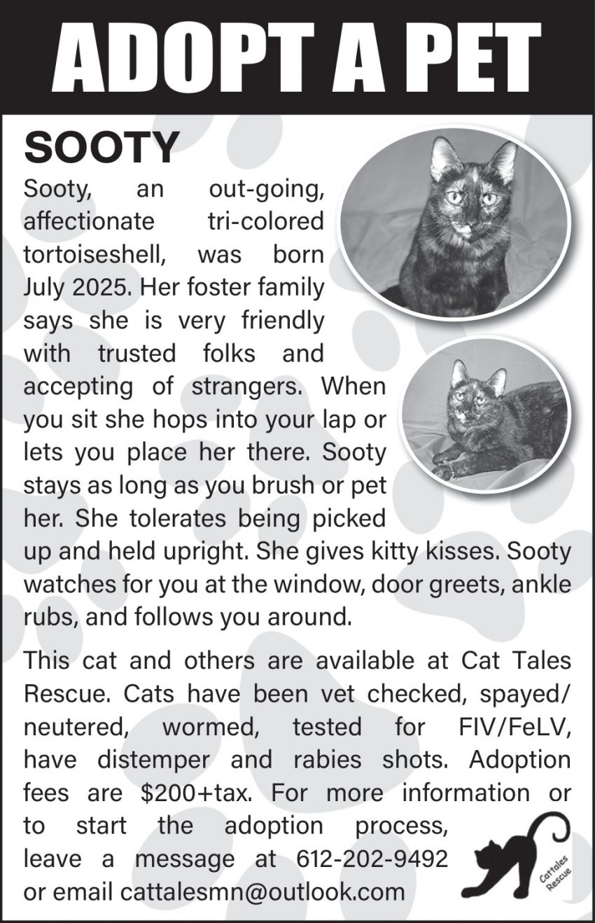 Cat Tales Rescue