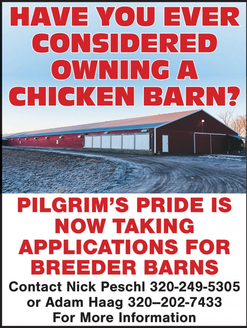 Pilgrims Pride