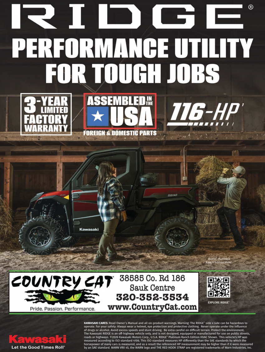 Country Cat
