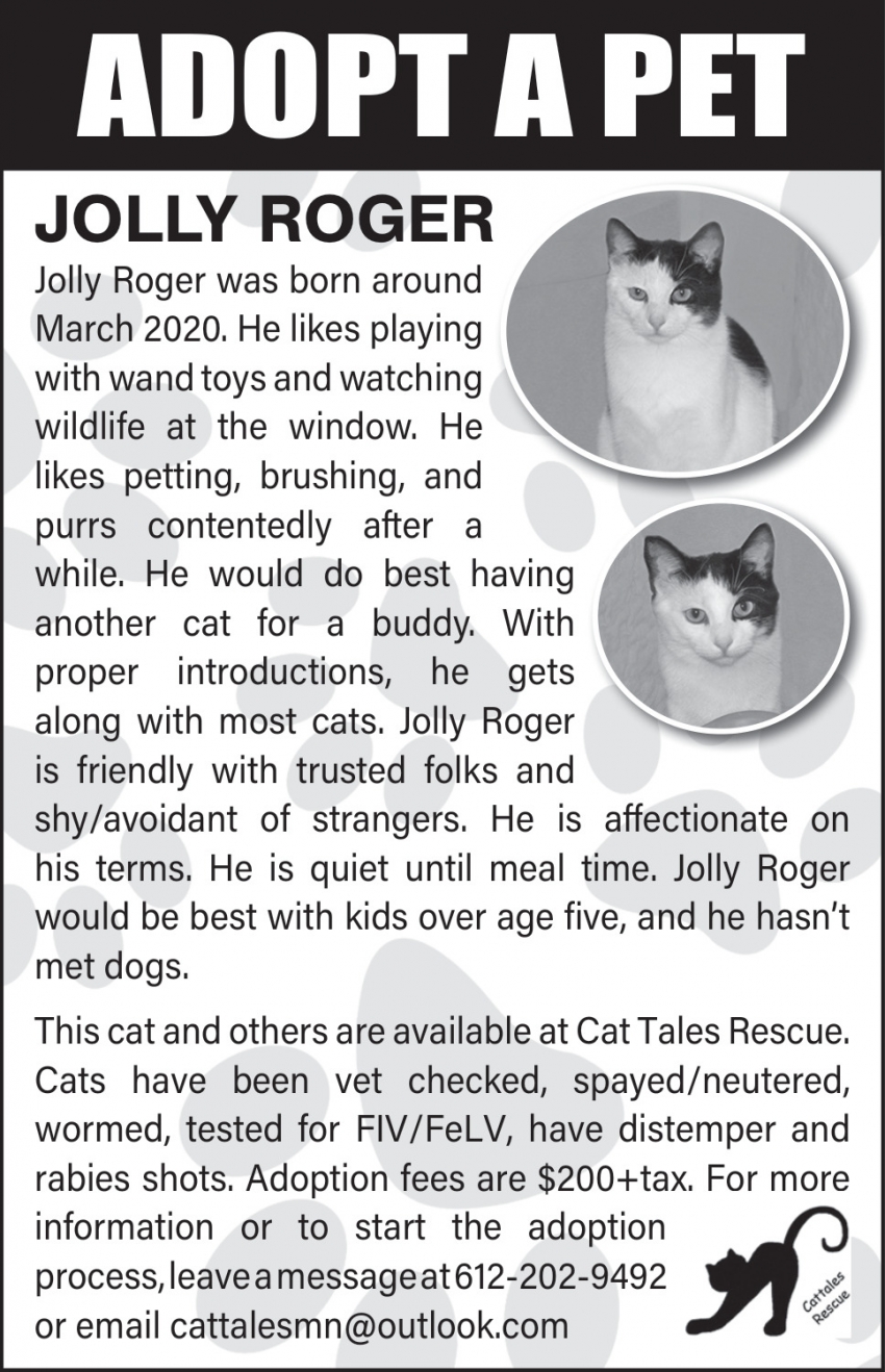 Cat Tales Rescue