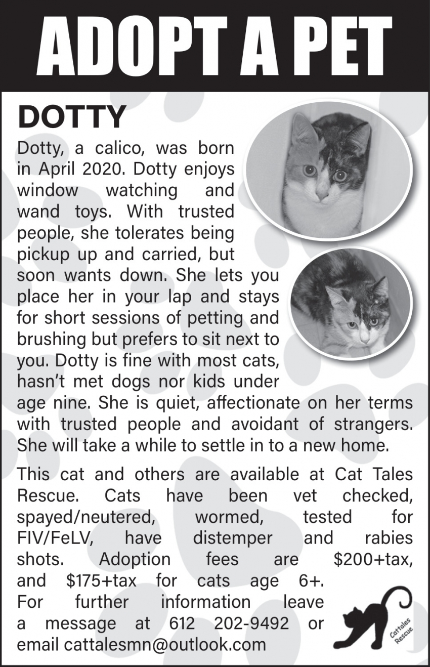 Cat Tales Rescue