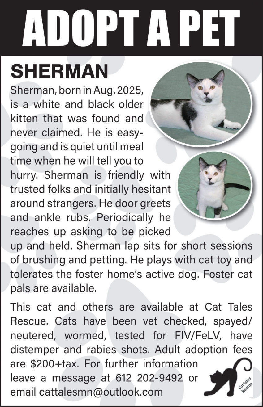 Cat Tales Rescue