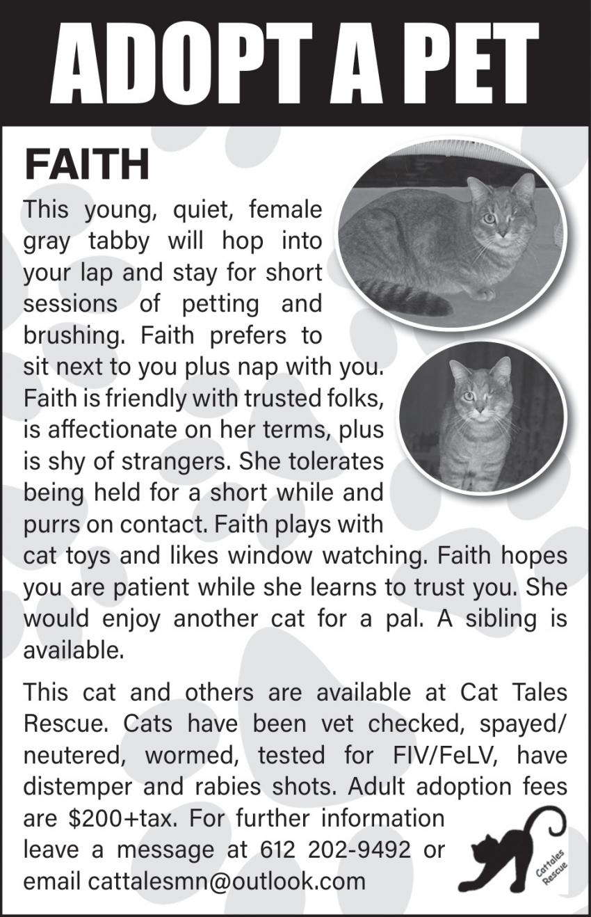 Cat Tales Rescue