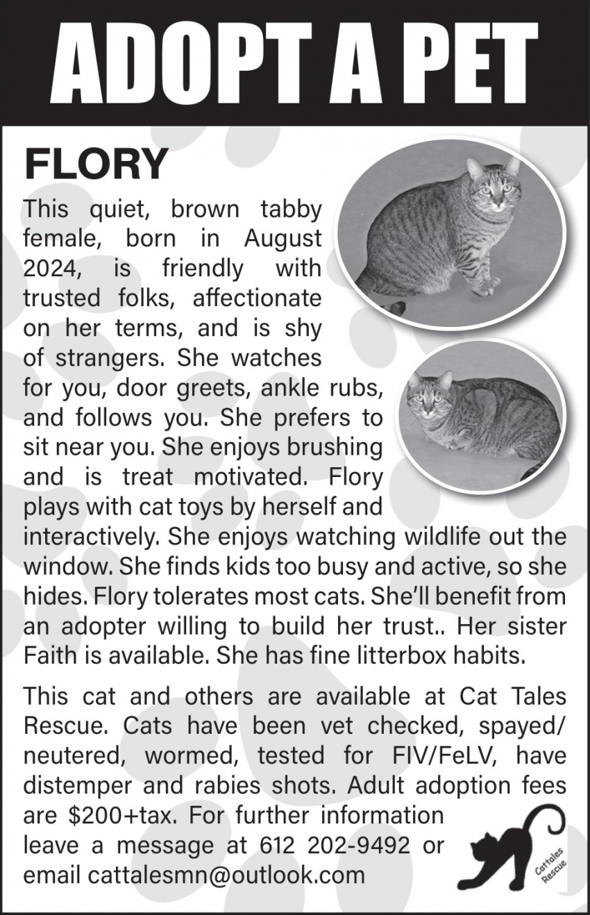 Cat Tales Rescue
