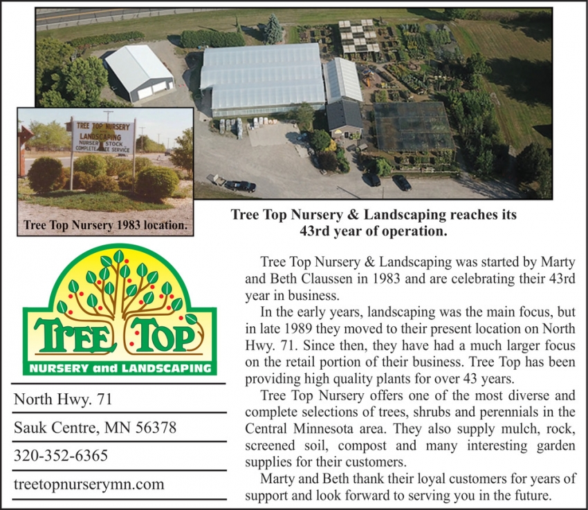 Tree Top