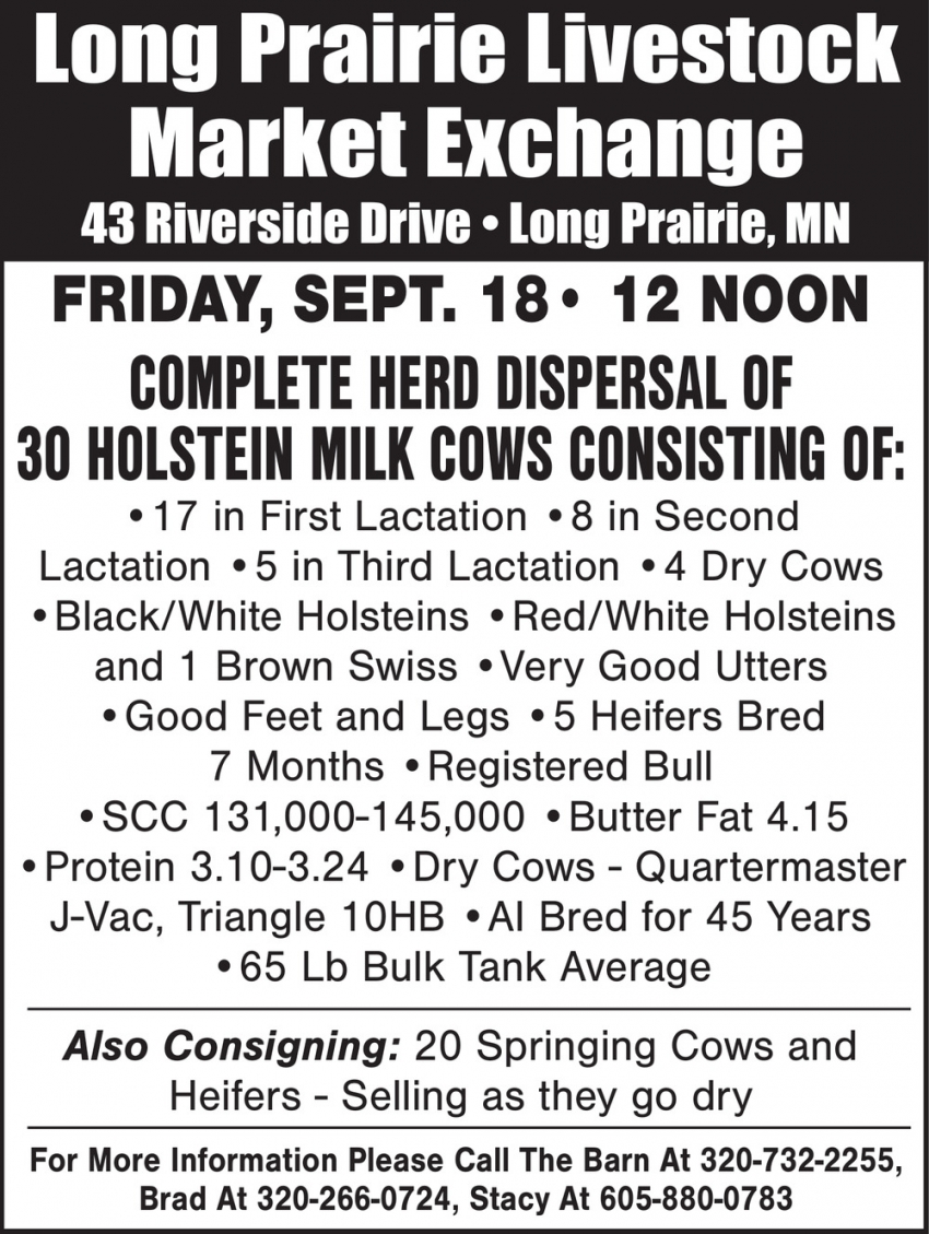 Long Prairie Livestock Auction Market Exchange