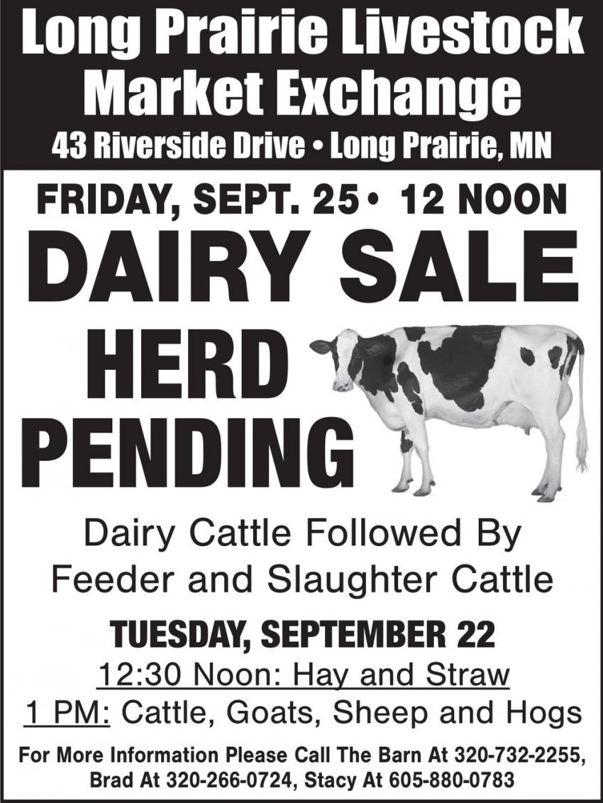 Long Prairie Livestock Auction Market Exchange