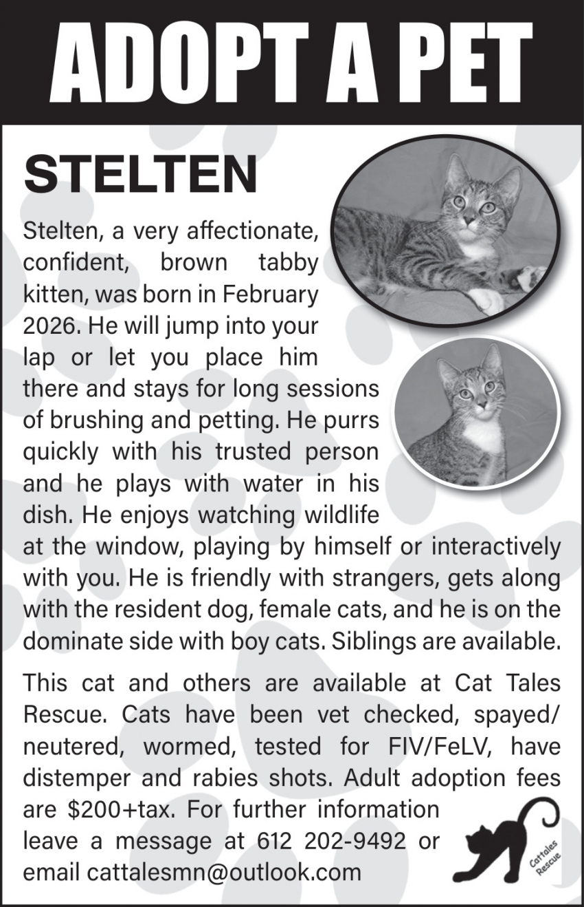 Cat Tales Rescue