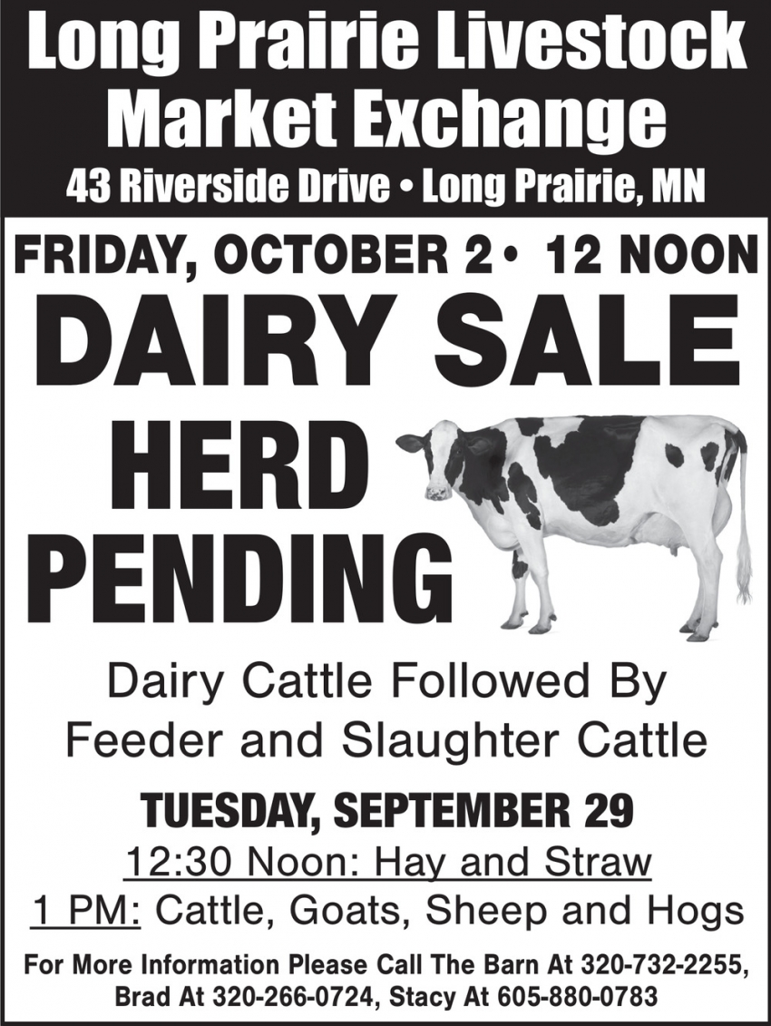 Long Prairie Livestock Auction Market Exchange