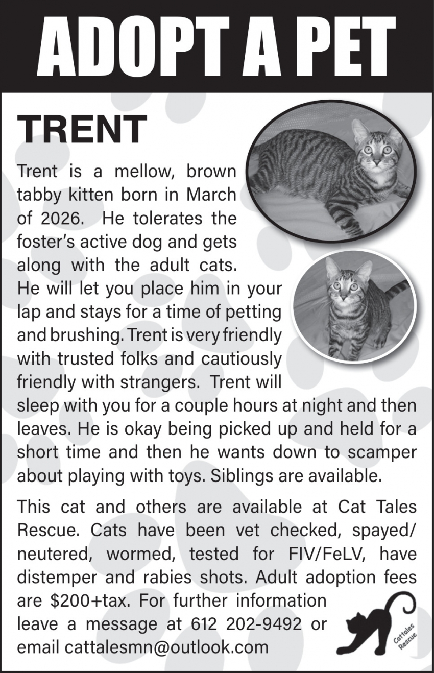 Cat Tales Rescue