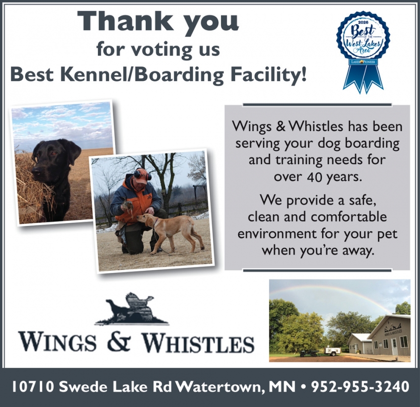 Wings & Whistles