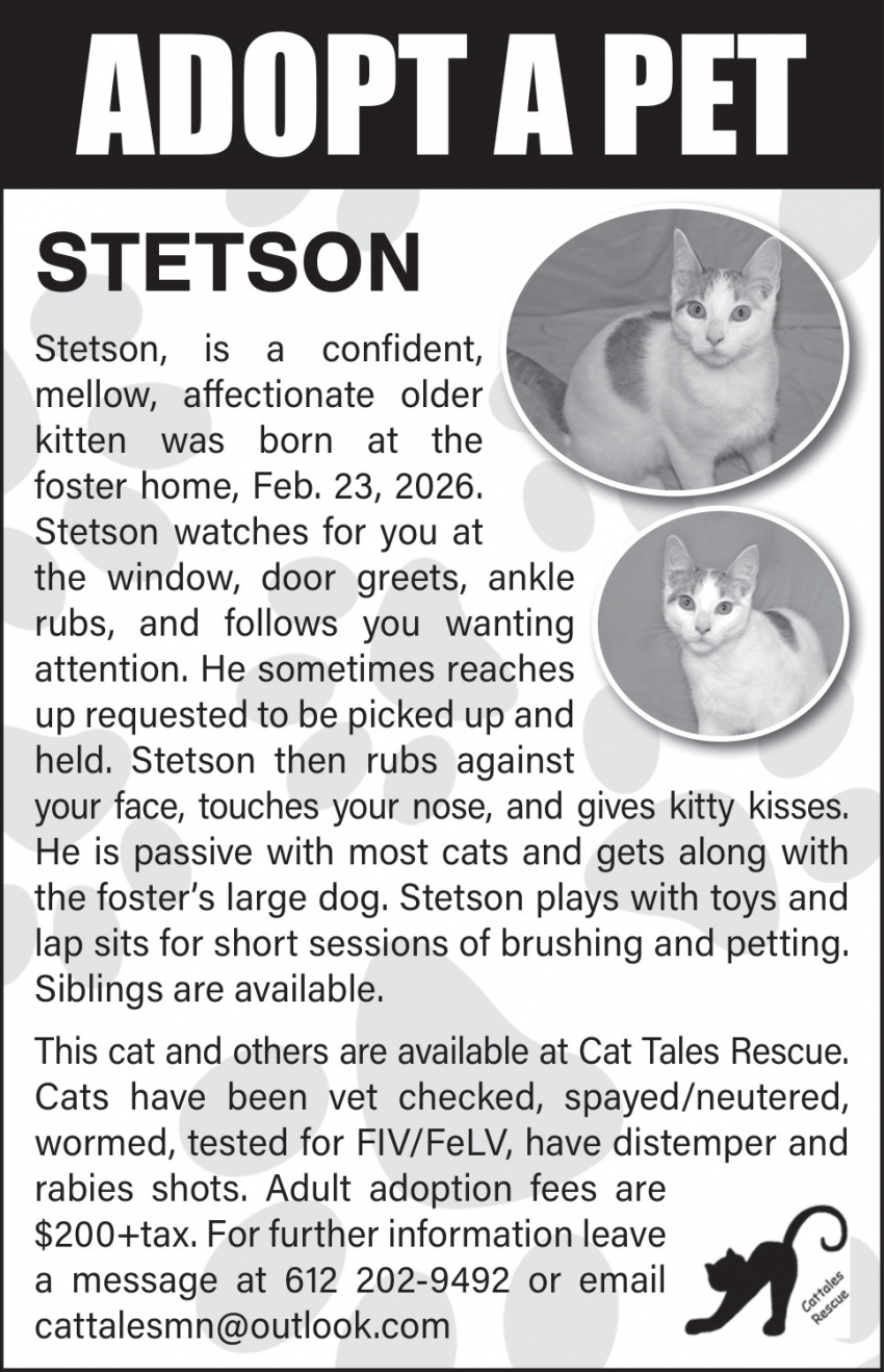 Cat Tales Rescue