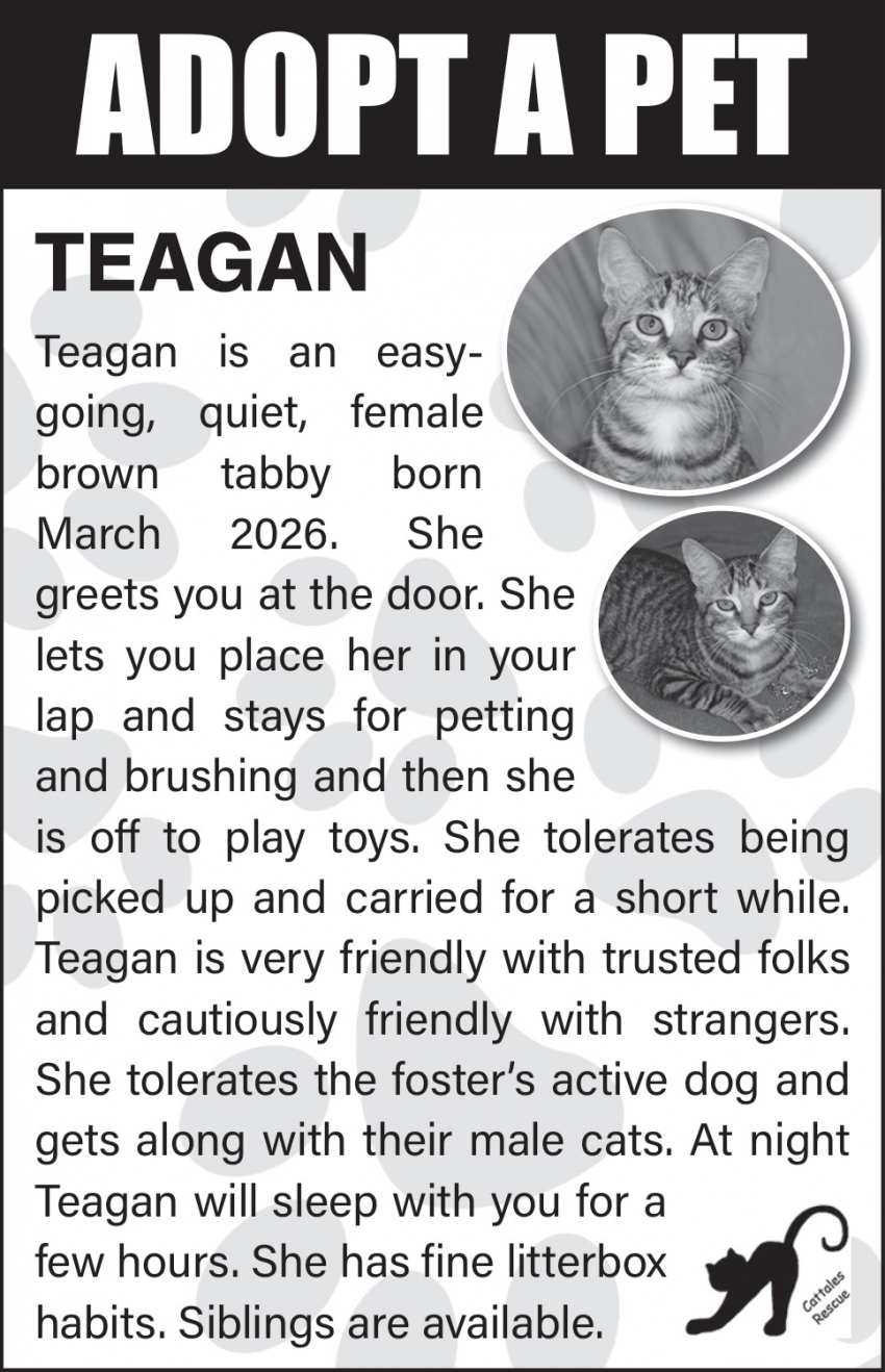 Cat Tales Rescue