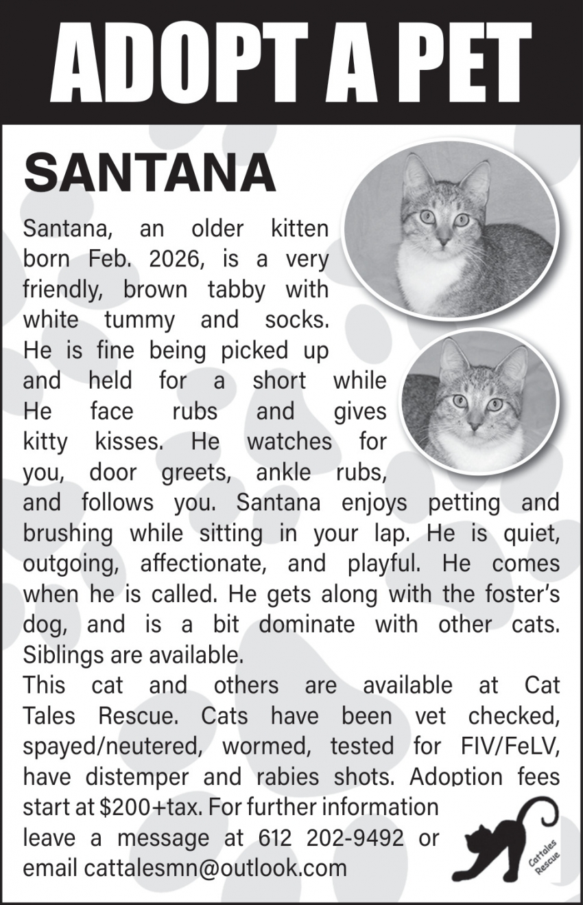 Cat Tales Rescue