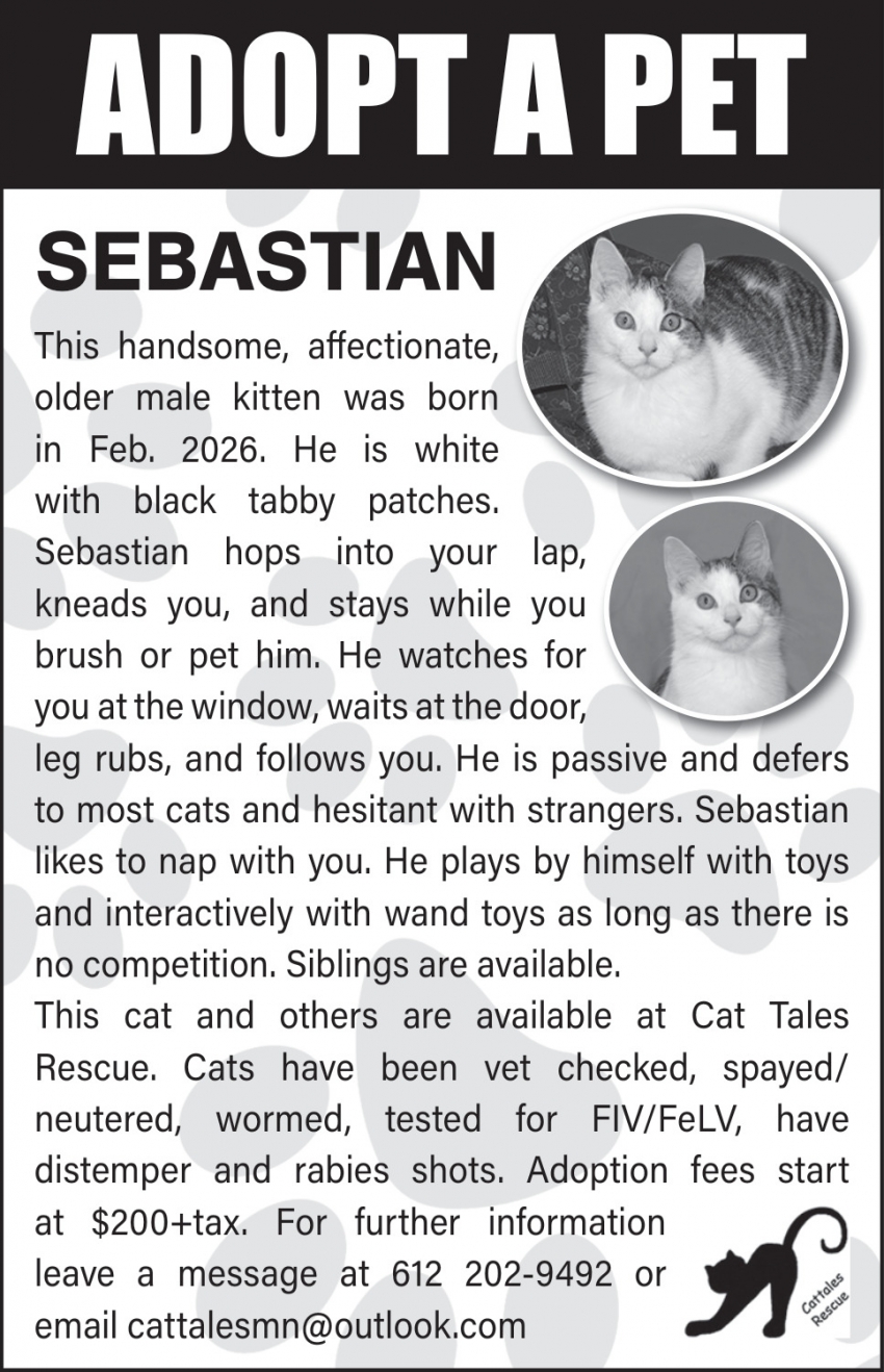 Cat Tales Rescue