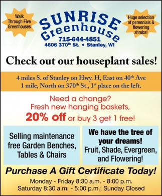 Check Out Our Houseplant Sales