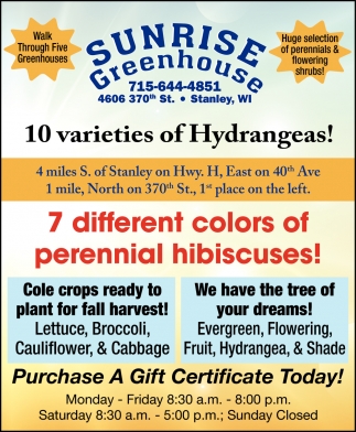 Check Out Our Houseplant Sales