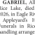Allan Gabriel