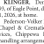 Dennis J. Klinger