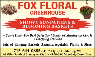 Showy Sunpatiens & Blooming Baskets