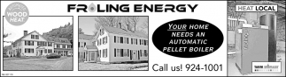 Your Home Needs An Automatic Pellet Boiler Froling Energy Peterborough Nh