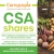 CSA Shares