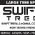 Large Tree Specialists