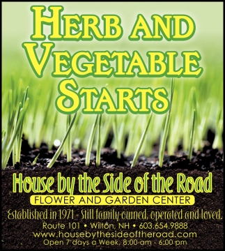 Herb And Vegetable Starts
