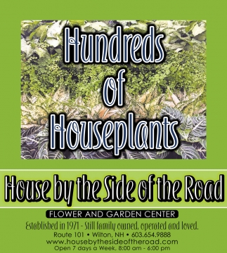 Hundreds Of Houseplants