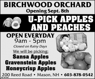 U-Pick Apples And Peaches