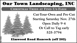 Christmas Trees At Find Us Farm