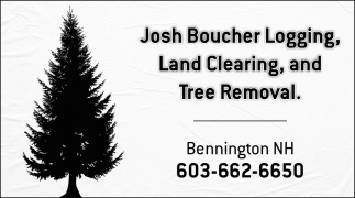 Land Clearing, And Tree Removal