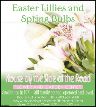 EasteR Lillies And Spring Bulbs