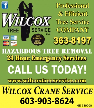Hazardous Tree Removal