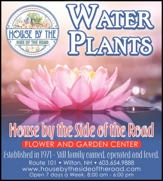 Water Plants