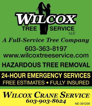 A Full Service Tree Company