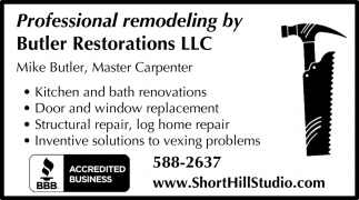 Professional Remodeling