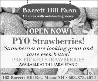 Pyo Strawberries!