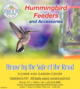 Hummingbird Feeders