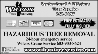Professional & Efficient Tree Service