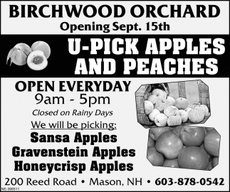 U-Pick Apples and Peaches