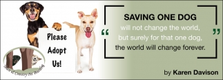 Saving One Dog
