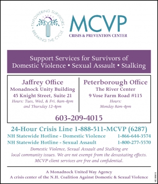Support Services For Survivors Of Domestiv Violence